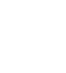 icon of the canva company