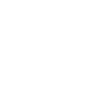 icon of the publuu software