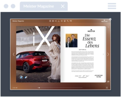 Pop-up window embed option