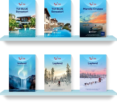 virtuaalne raamaturiiul ja digitaalsed flipbookid