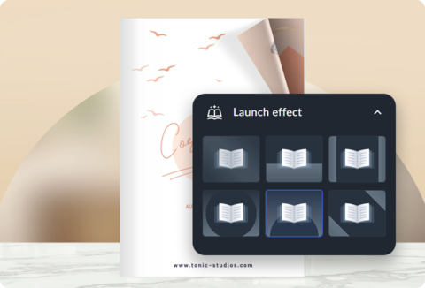 publuu flipbook launch effects selection panel