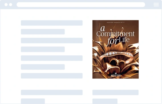 Flipbook embed cover