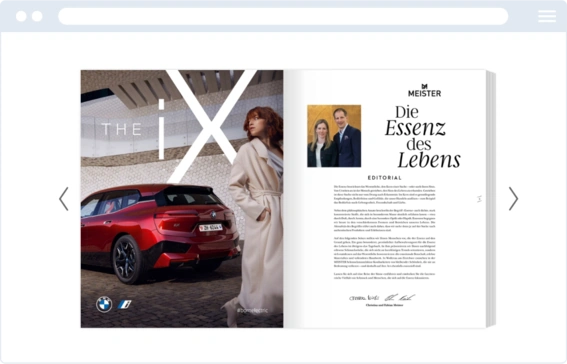 Flipbook embed without background