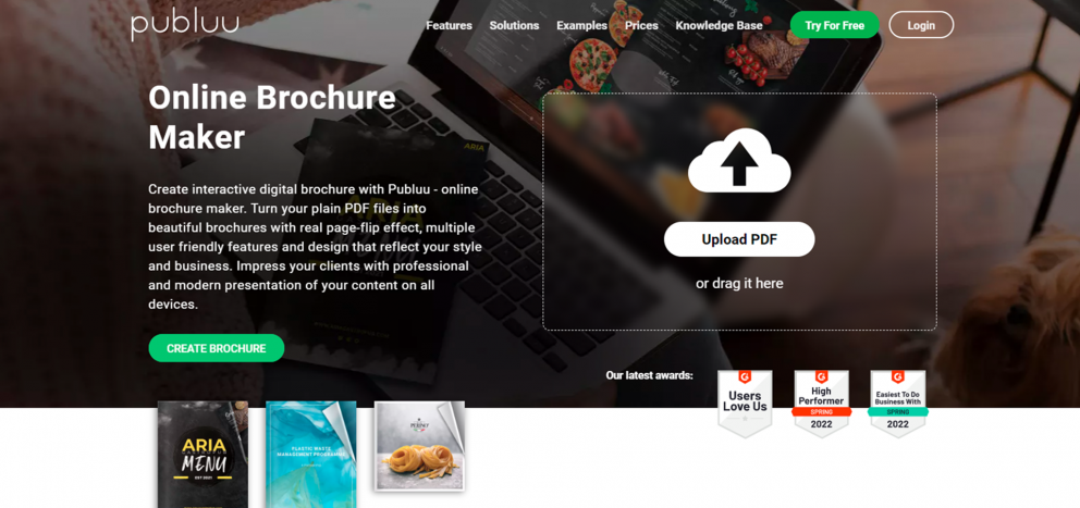 publuu screenshot brochure maker