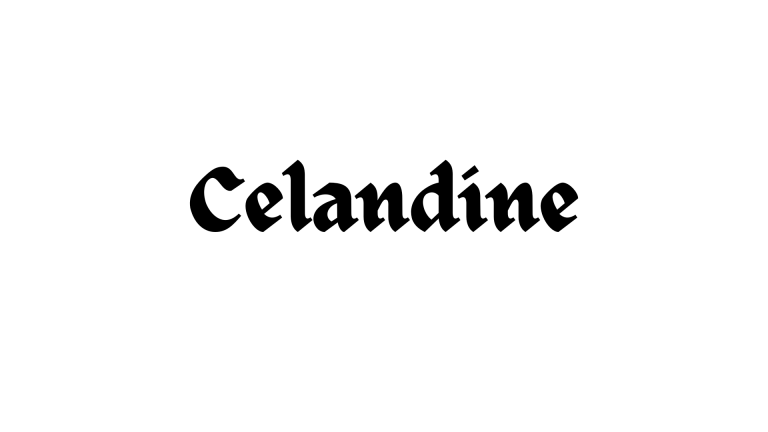 célandine