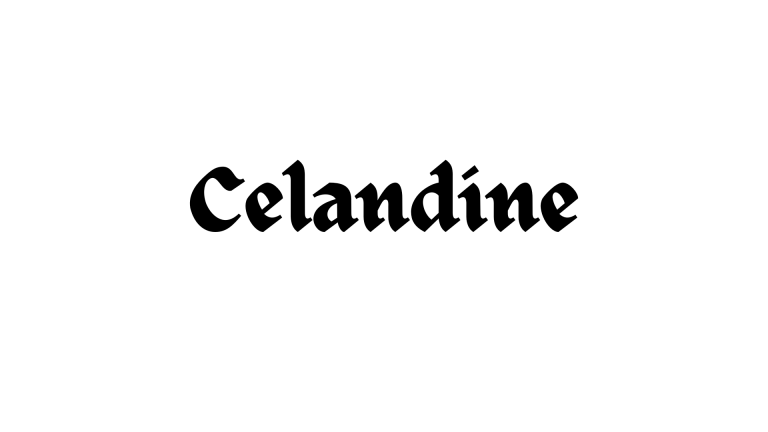 celandine