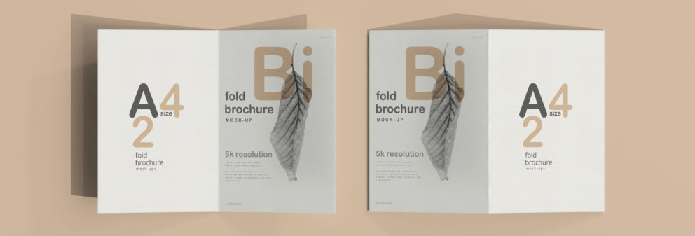 brochure bi-pliée