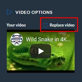 replace video icon