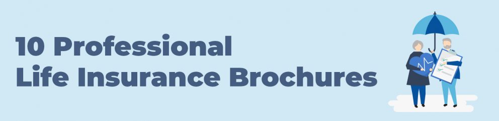 folletos profesionales de seguros de vida