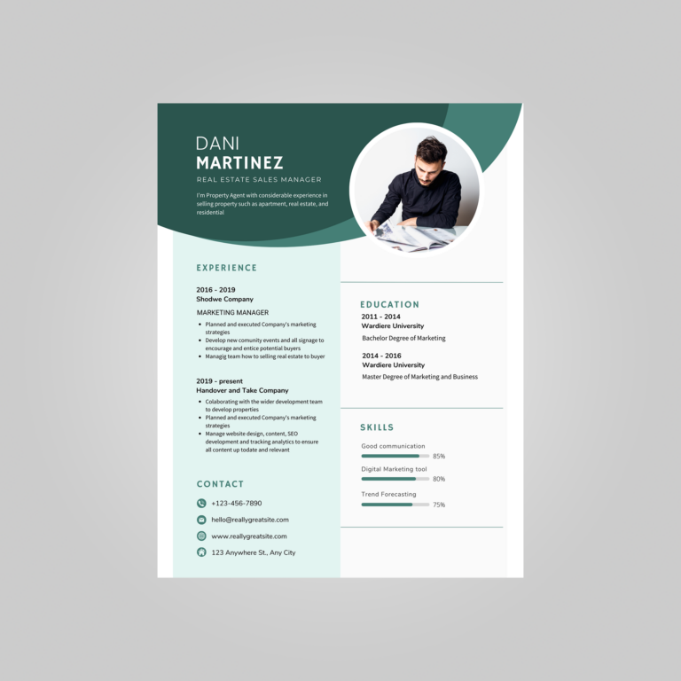 professional curriculum vitae template