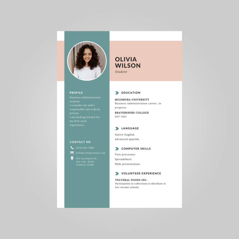 student simple resume