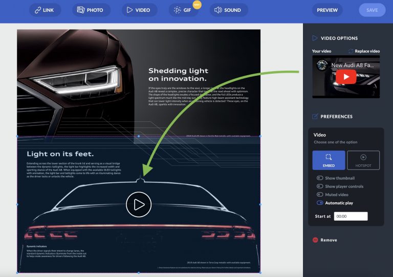 Video in PDF embed