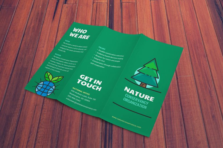 brochure vert naturel